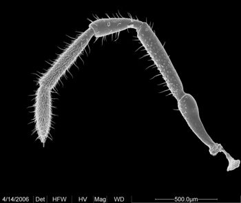 Media type: image;   Invertebrate Zoology 133769